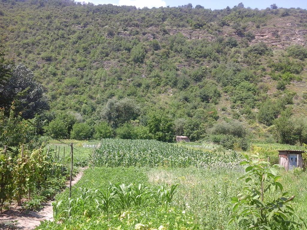 La Popas Otel Orhei Dış mekan fotoğraf