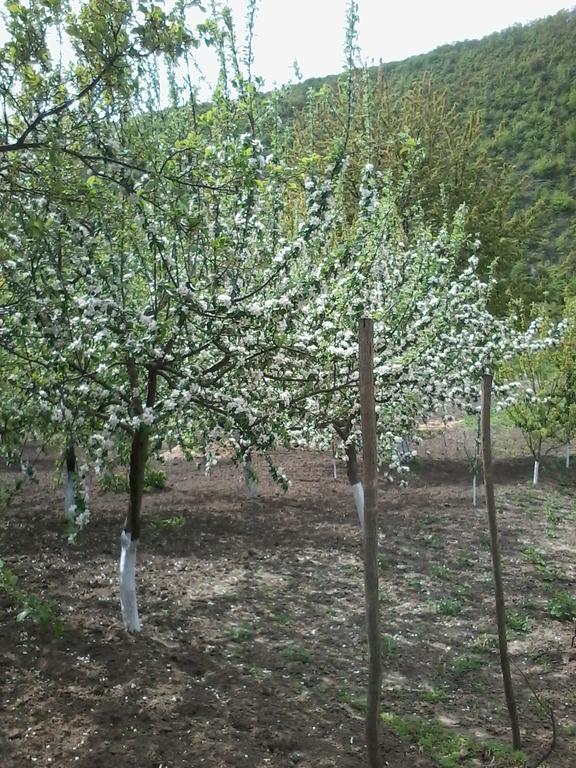 La Popas Otel Orhei Dış mekan fotoğraf