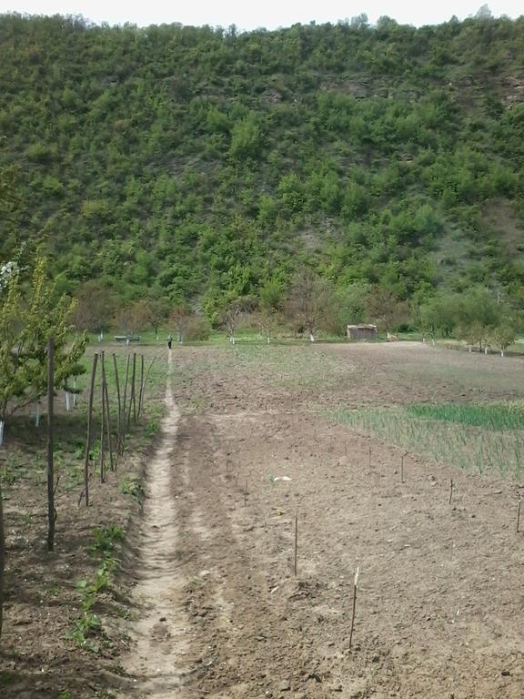 La Popas Otel Orhei Dış mekan fotoğraf
