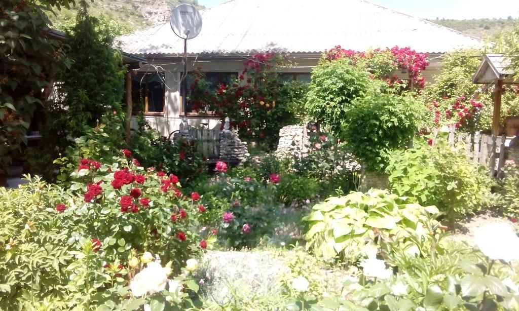 La Popas Otel Orhei Dış mekan fotoğraf